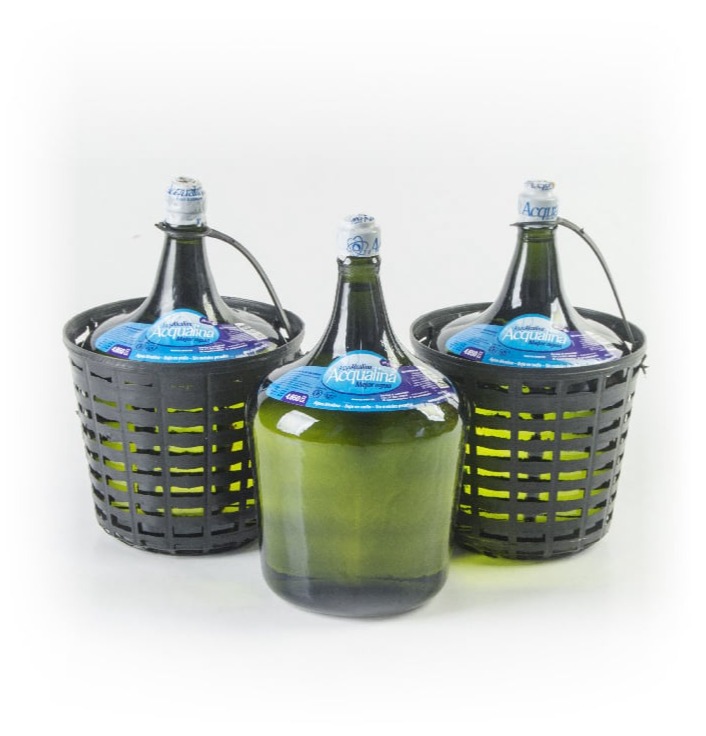 Ver video de la conferencia